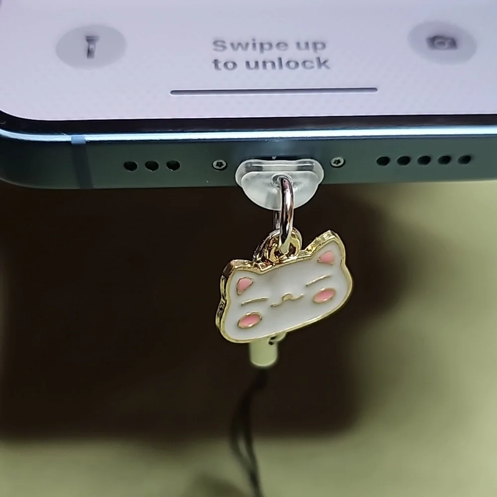 IPhone charge port dust plug
